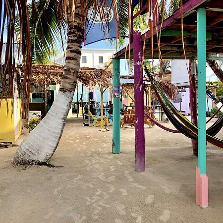Tropical Oasis Hostel Caye Corker Luaran gambar