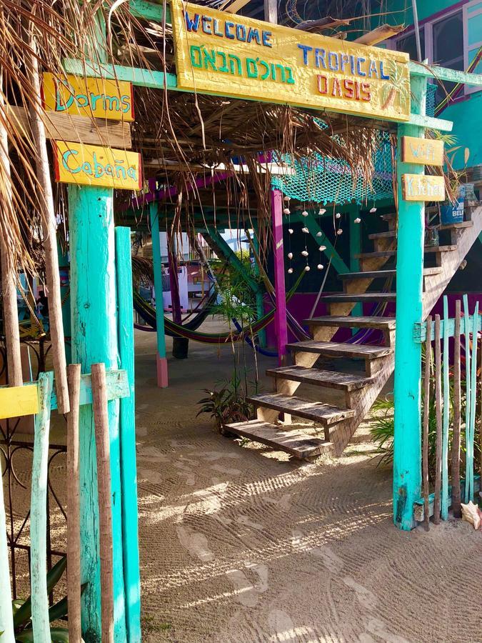Tropical Oasis Hostel Caye Corker Luaran gambar