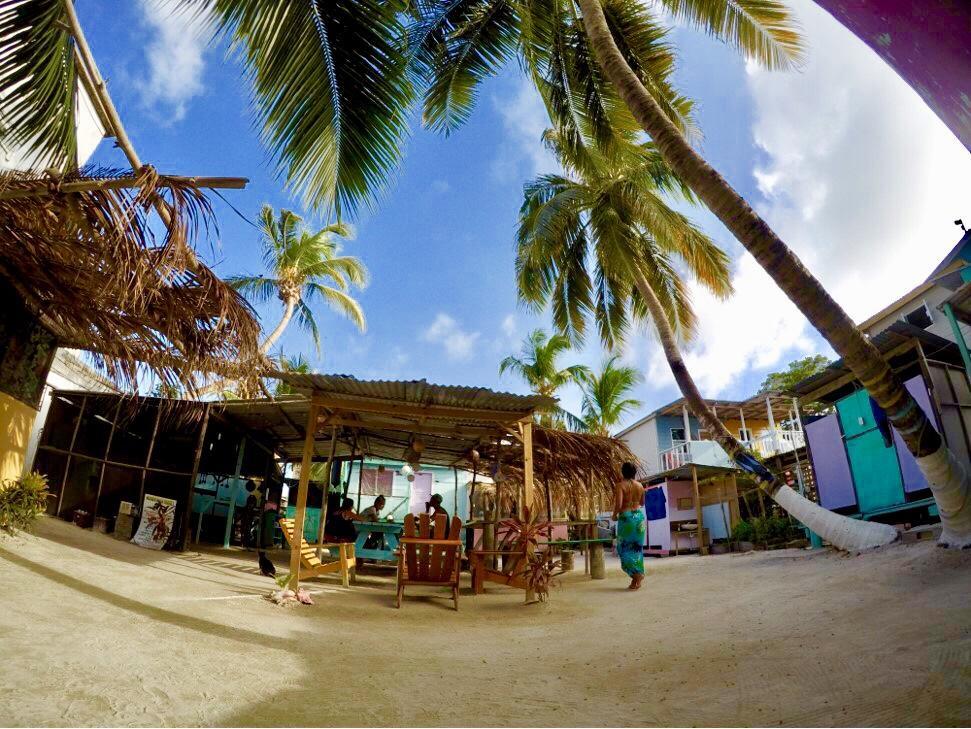 Tropical Oasis Hostel Caye Corker Luaran gambar